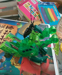 ��ţ����룡