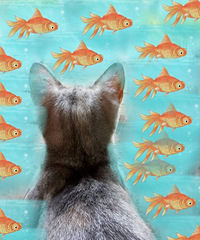 ��˵�������P��������ͺ�Ӱ