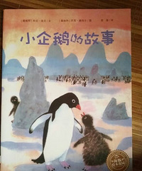 �����汾����