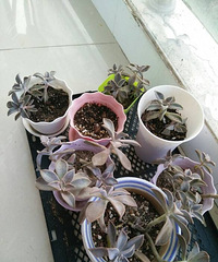 û��������