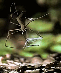 �����û������20��ͼƬ����������þò���ƽ��.