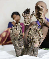 ���¡��к����ֽų�������֦��