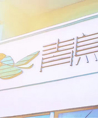 【晒民宿】推荐在海边的民宿-青鸟 团建的好地方