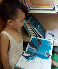 ���������Ķ���314��