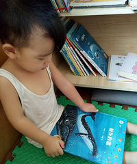 ���������Ķ���314��