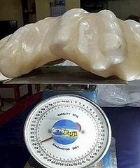 �������Ⲷ���ֵ6.6�����飬�ڴ��ײ���ʮ�ꡭ