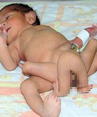 �𾪣�������������6���� ԭ����..