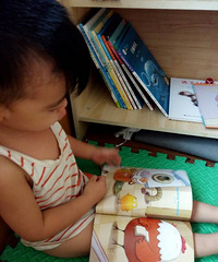 ���������Ķ���315��