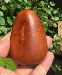 137克红沁原籽 手把件玩料 新疆和田玉红沁籽料原石 红玉