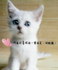 ����ı����