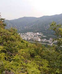 200�ﵥ��������ĩ�糿