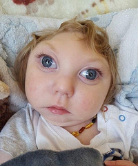 ���������˰���Դ��ı��� ����漣�������