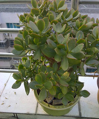 ������6������