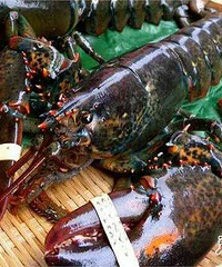 150����Ϻ������ Ȼ��������