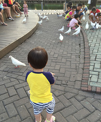 ����Ҫ����汾Ⱥ��+���ñ������ϻ汾