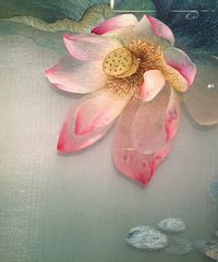 清水芙蓉