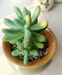 �Ҽҵ�����