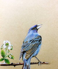 ˢˢ���ڸУ����������ӿ�����