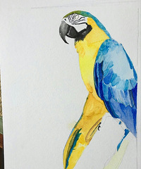 ˢˢ���ڸУ����������ӿ�����