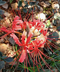 ����ûǩ���˺��񡭡�