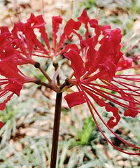 ����ûǩ���˺��񡭡�