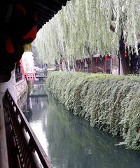 �����ι�