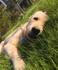 �������ˡ���������������