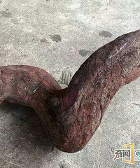 30�����˸�ľͷ ���׬���ˣ�