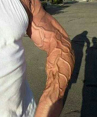 һ����֪��������ʲô�˶�