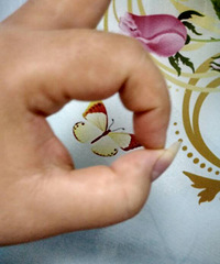 ɹ��ȦȦ���±�