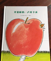 �汾�����ڡ�ƻ���ѵ�һ����������