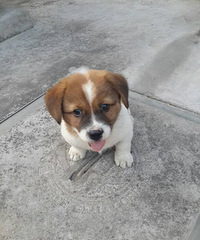 �������ϣ�������ʵ�ĺ����ѣ�