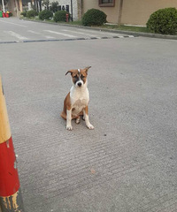 �������ϣ�������ʵ�ĺ����ѣ�