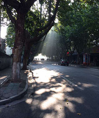 ���Ǿ���Ư��