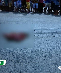 4���к���һ������11�������Ⱥ���ѹ����