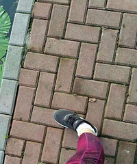 ��һ��ͼ֤�������˶����ܽ�������ӵ����