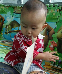 ����Ҫ����������������