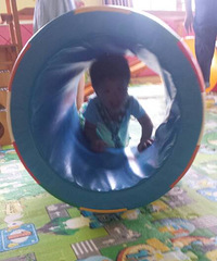 ����Ҫ��������������������