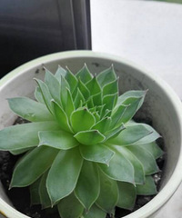 ��Ʊ� �칫�ҵĶ���