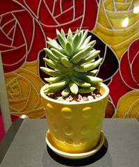 ����Ʊ����ҼҵĶ���