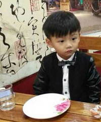 ��Ҫ��������