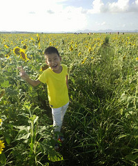 ����Ҫ��������