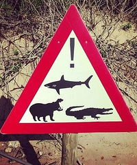 �о���������� �һ��һ�죡