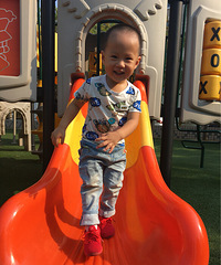 ��Ҫ��������