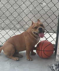 ��ԣ���û�н�����һ������