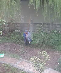 ��ѽ�����ջ�