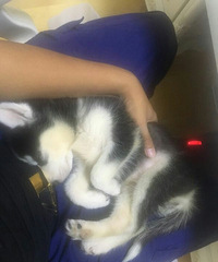 �������ˡ�+����������໶��