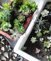 ��Щ������������Ͳ��ָܷ�