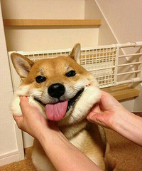 ����ĺ����ѣ�������