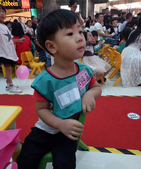 ����Ҫ������+�������